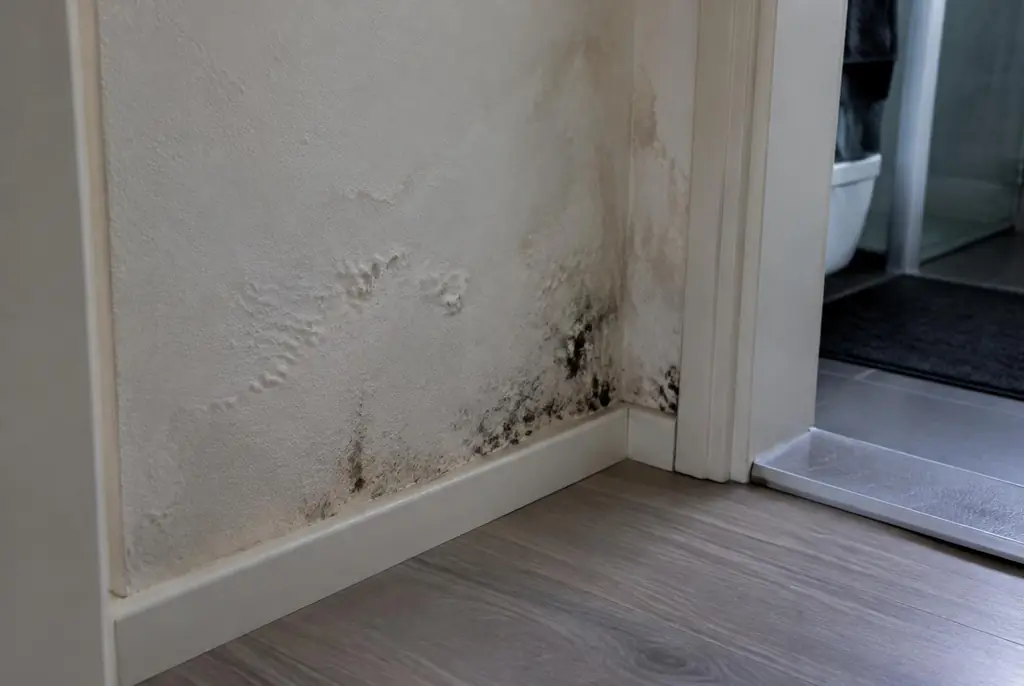 Lekdetectie Schagen – vochtplek met schimmel op een muur